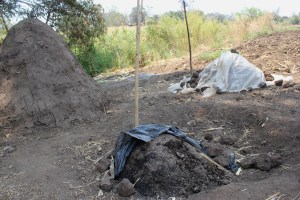 The highlight of the show—piles of poop