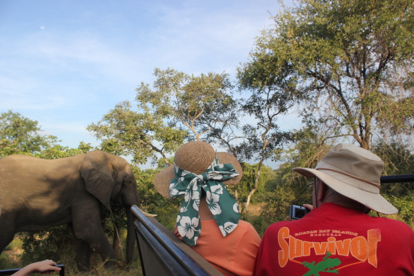 Dean's parents and an elephant (and Jolie's hand)
