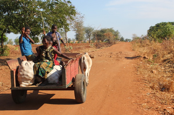 Oxcart